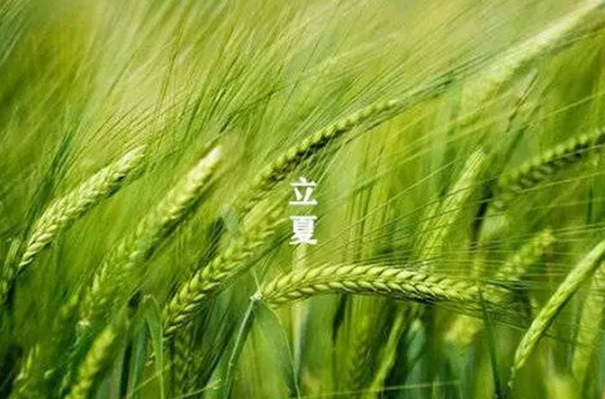 大白管业：立夏你好，夏天你好！